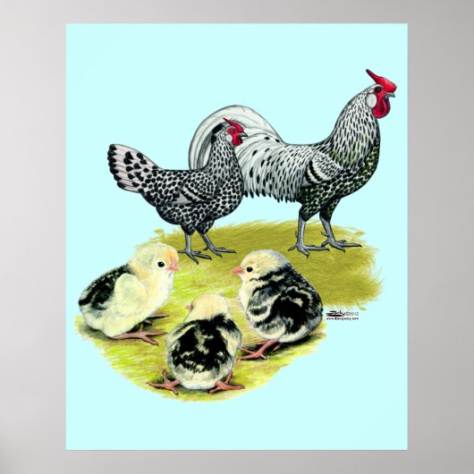 スパングルドハンブルク家 ポスター (正面)