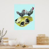 スパングルドハンブルク家 ポスター (キッチン)