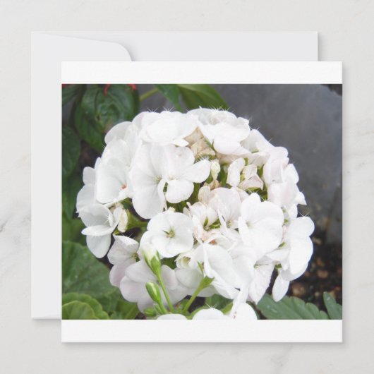 スパーキングホワイトフラワーズウェディング セーブザデート (正面)