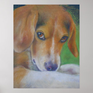 スパーキーな犬：目 ポスター