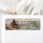 スパーキーラベル ラベル (インサイチュ)