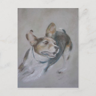 スパーキー走犬 ポストカード