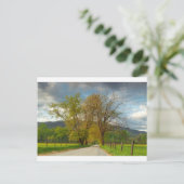 スパークスレーンカデズコーブ ポストカード (スタンド正面)