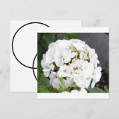 スパークリングホワイトフラワーズウェディング セーブザデート (正面/裏面)