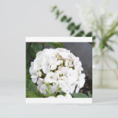 スパークリングホワイトフラワーズウェディング セーブザデート (スタンド正面)