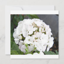 スパークリングホワイトフラワーズウェディング