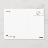 スパーリングムース野生生物シリーズ# 12ポストカード ポストカード (裏面)