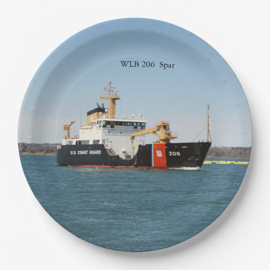 スパール紙プレート ペーパープレート (正面)