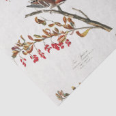 スパーローとブランチのパターンの分離 薄葉紙 (詳細)