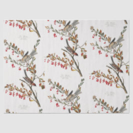 スパーローとブランチのパターンの分離 薄葉紙