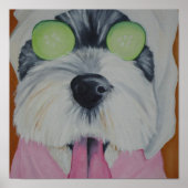 スパ犬 ポスター (正面)