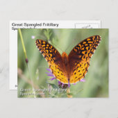 スパ素晴らしルフリティヤリ ポストカード (正面/裏面)