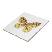 スパ素晴らしングルフリティヤリタイル タイル (側面)