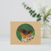 スパ素晴らしングルフリティラリ ポストカード (スタンド正面)