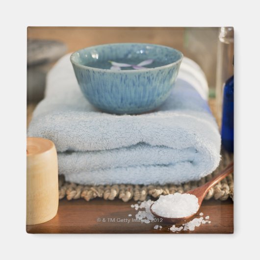 スパ静止期 マグネット (正面)