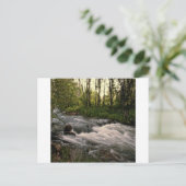 スピアフィッシュクリークSD ポストカード (スタンド正面)