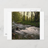 スピアフィッシュクリークSD ポストカード (正面/裏面)