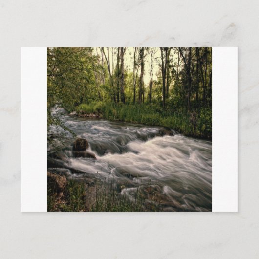 スピアフィッシュクリークSD ポストカード (正面)