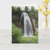 スピアフィッシュ滝 カード (黄色い花)