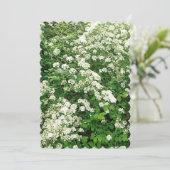 スピアリアの花の低木/ブッシュ 招待状 (スタンド正面)