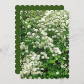 スピアリア フローラル フラワー シュラブ/低木 招待状 (正面/裏面)