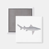 スピアースウザメ マグネット (正面/裏面)