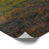 スピスからのタラスビュー ポスター (角)