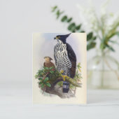 スピゼタス・アルボニガー ポストカード (スタンド正面)