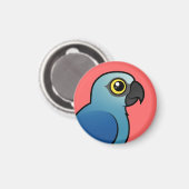 スピックスマコー マグネット (正面/裏面)