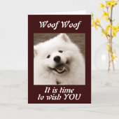 スピッツは君に「非常にハッピーバースデー」を願う カード (黄色い花)