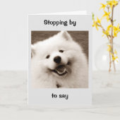 スピッツは誕生日の仕事を休む カード (黄色い花)