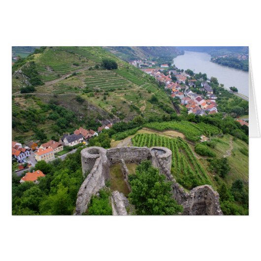 スピッツアンデルドナウ (正面横)