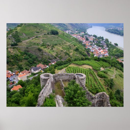 スピッツアンデルドナウ ポスター (正面)