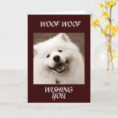 スピッツ氏は、あなたの「おめでとう」の卒業を祈ります。 カード (黄色い花)