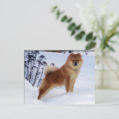 スピッツ絵画のポストカード ポストカード (スタンド正面)