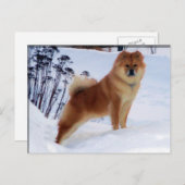 スピッツ絵画のポストカード ポストカード (正面/裏面)