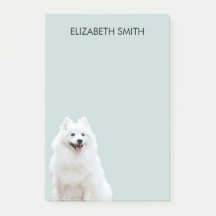 スピッツ・アメリカン・エスキモ・ドッグ