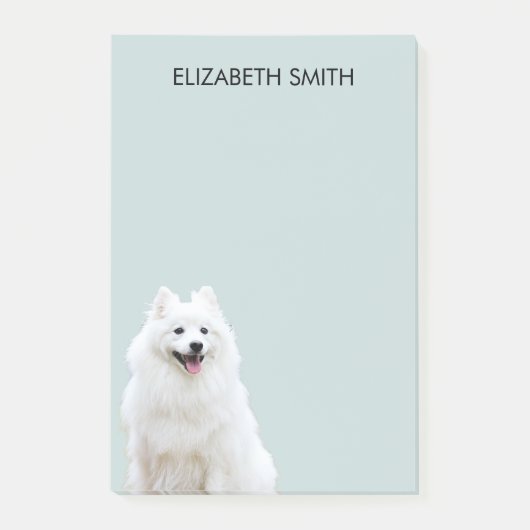 スピッツ・アメリカン・エスキモ・ドッグ ポストイット (正面)