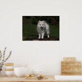 スピッ日本のツ/アメリカのエスキモ人形 ポスター (キッチン)