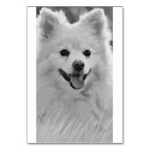 スピッ日本のツ テーブルナンバー (裏面)