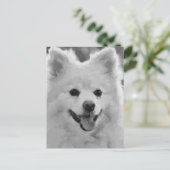 スピッ日本のツ ポストカード (スタンド正面)