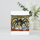 スピドラ ポストカード (スタンド正面)