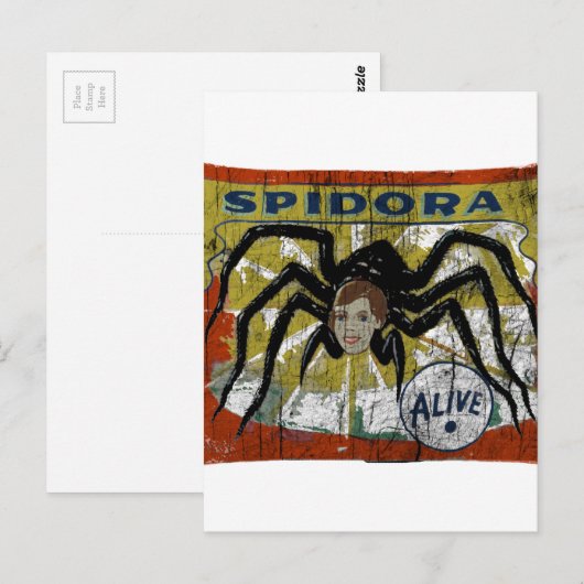 スピドラ ポストカード (正面/裏面)