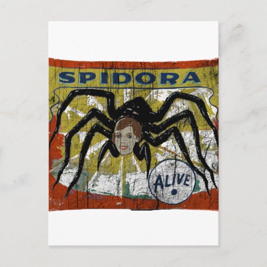 スピドラ ポストカード (正面)