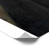 スピノザ ポスター (角)