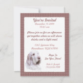 スピノネイタリアンイタリアーノ 招待状 (裏面)