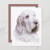 スピノネイタリアンイタリアーノ 招待状 (正面/裏面)