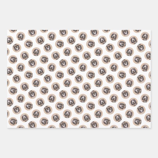 スピノン絵を描イタリアーノの茶色のローアンかわいい犬の芸術 ラッピングペーパーシート (正面2)