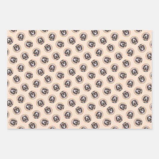 スピノン絵を描イタリアーノの茶色のローアンかわいい犬の芸術 ラッピングペーパーシート (正面)