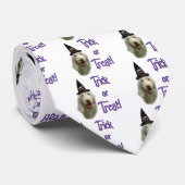 スピノーイタリアノトリック ネクタイ (ロール)